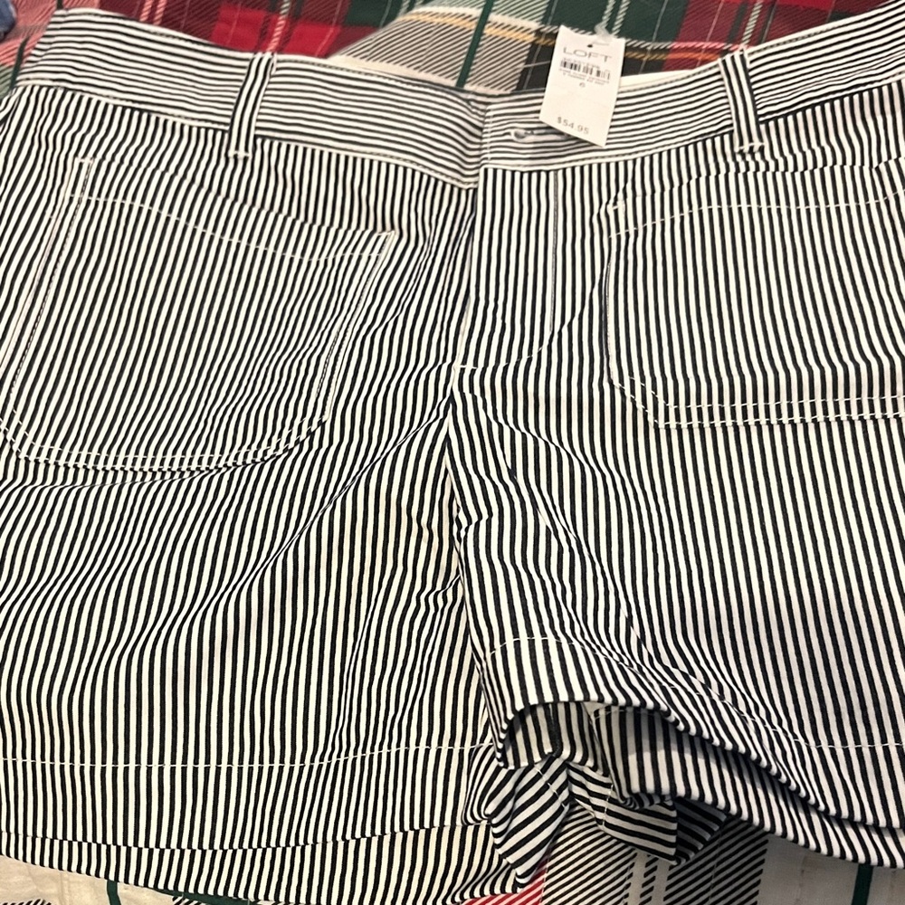 LOFT Blue and White Striped Women Shorts